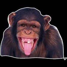 Avatar de l’utilisateur